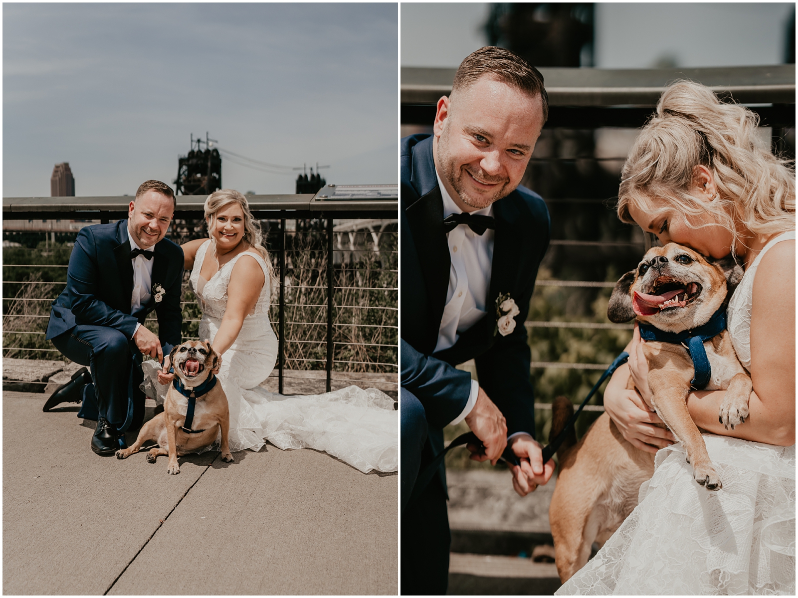 Wedding photos with dog